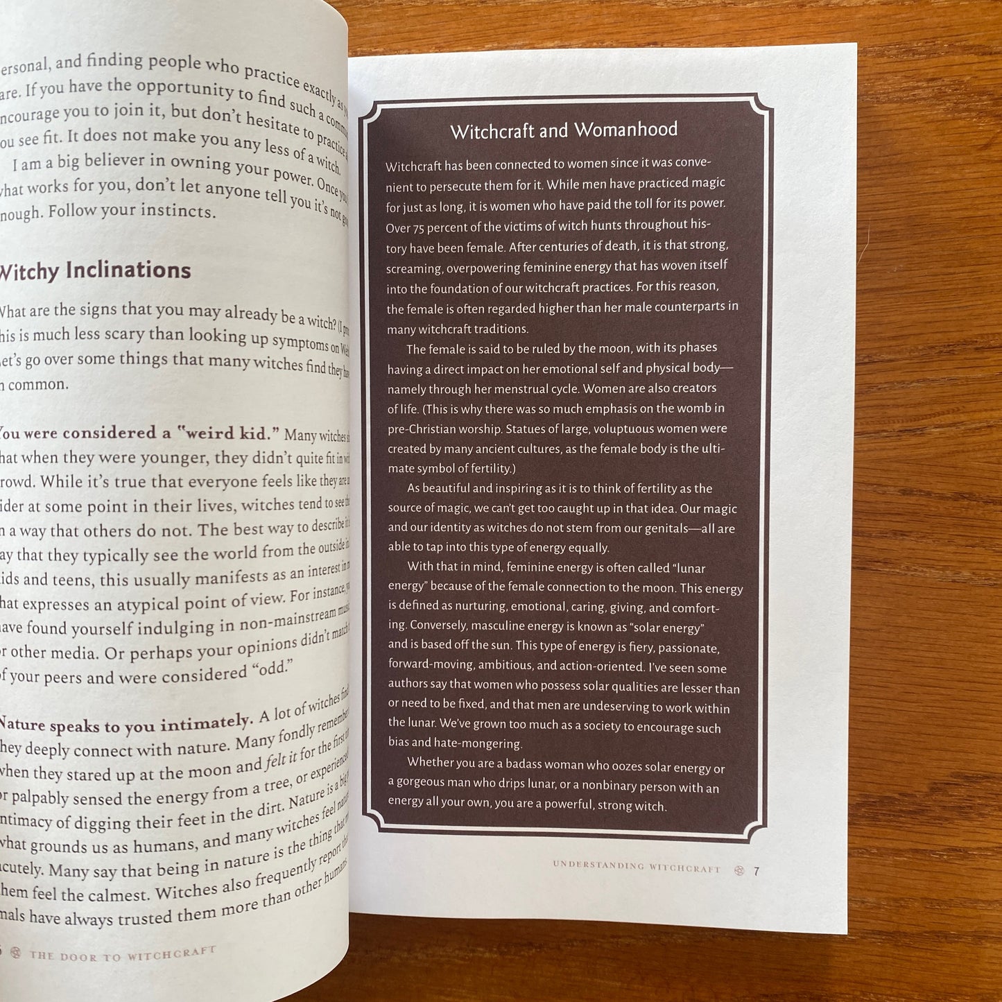 The Door To Witchcraft: A New Witch's Guide to History, Traditions, and Modern Day Spells - Tonya A. Brown