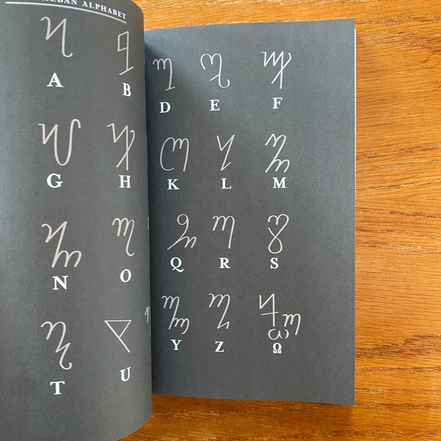 The Door To Witchcraft: A New Witch's Guide to History, Traditions, and Modern Day Spells - Tonya A. Brown