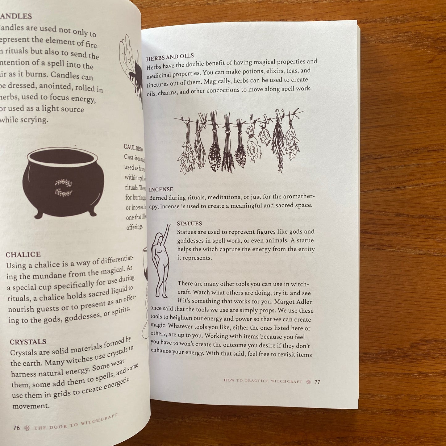 The Door To Witchcraft: A New Witch's Guide to History, Traditions, and Modern Day Spells - Tonya A. Brown