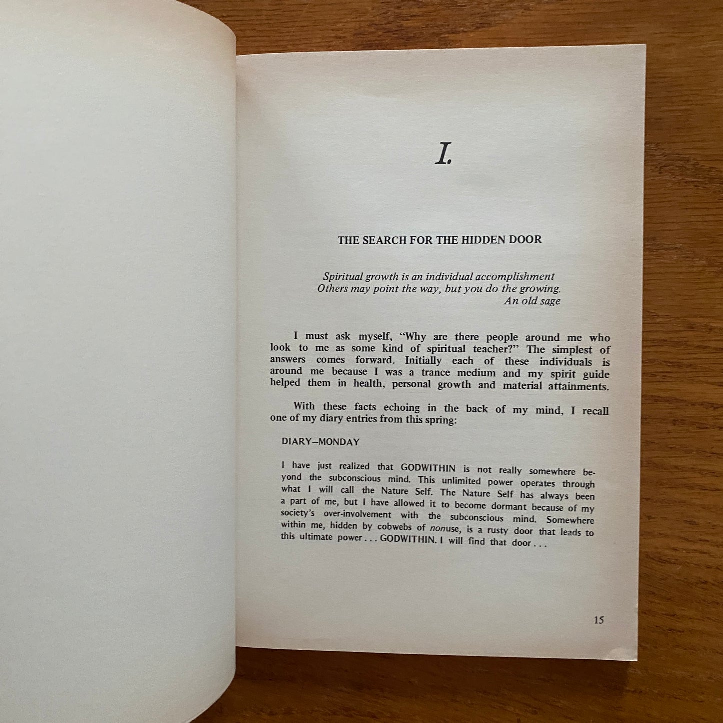 The Search For The Hidden Door - Marshal N. Lever