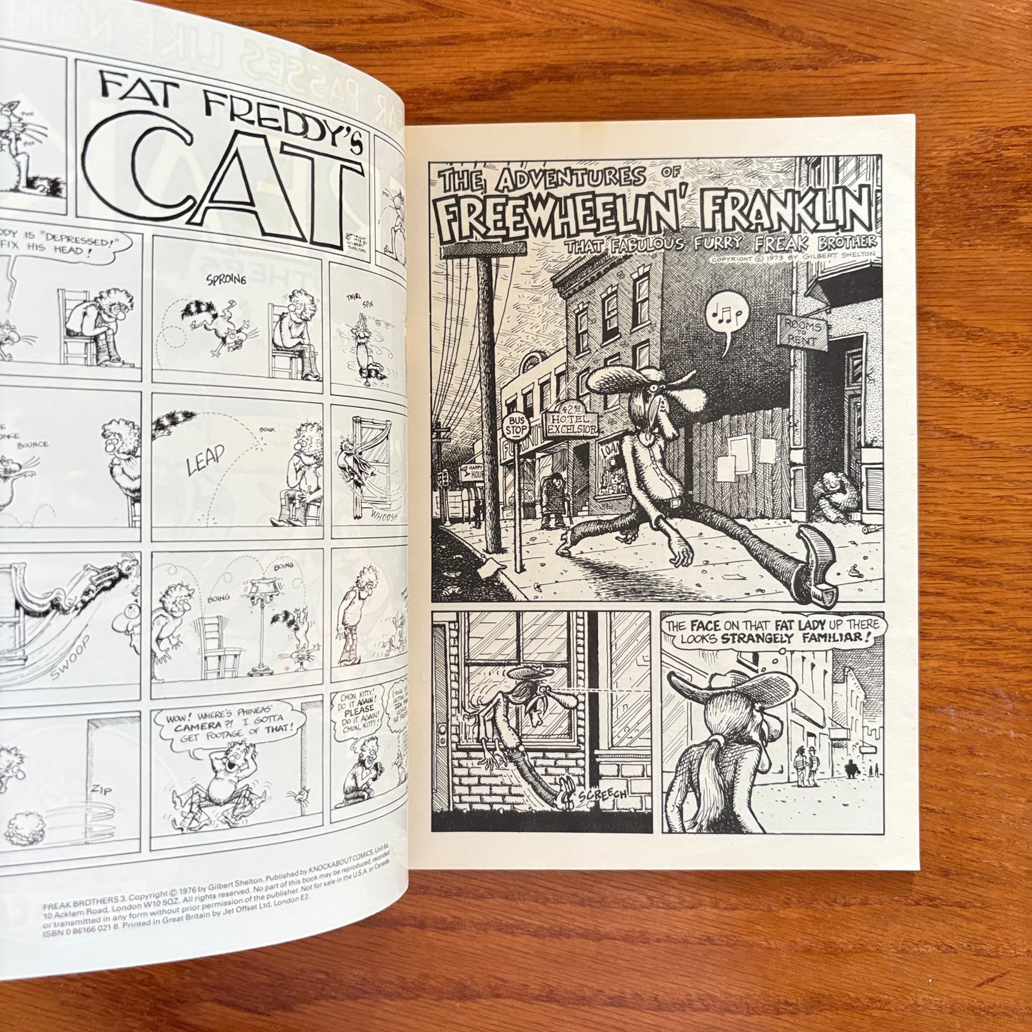 Fabulous Furry Freak Brothers #3