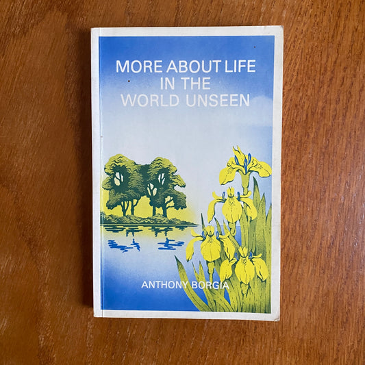 More About Life In The Unseen World - Anthony Borgia