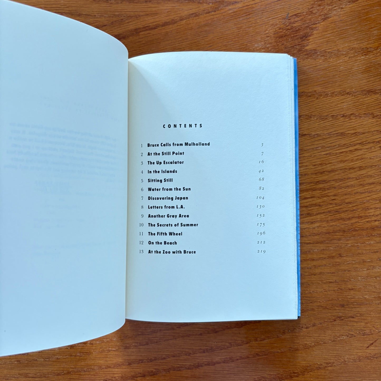 Bret Easton Ellis - The Informers
