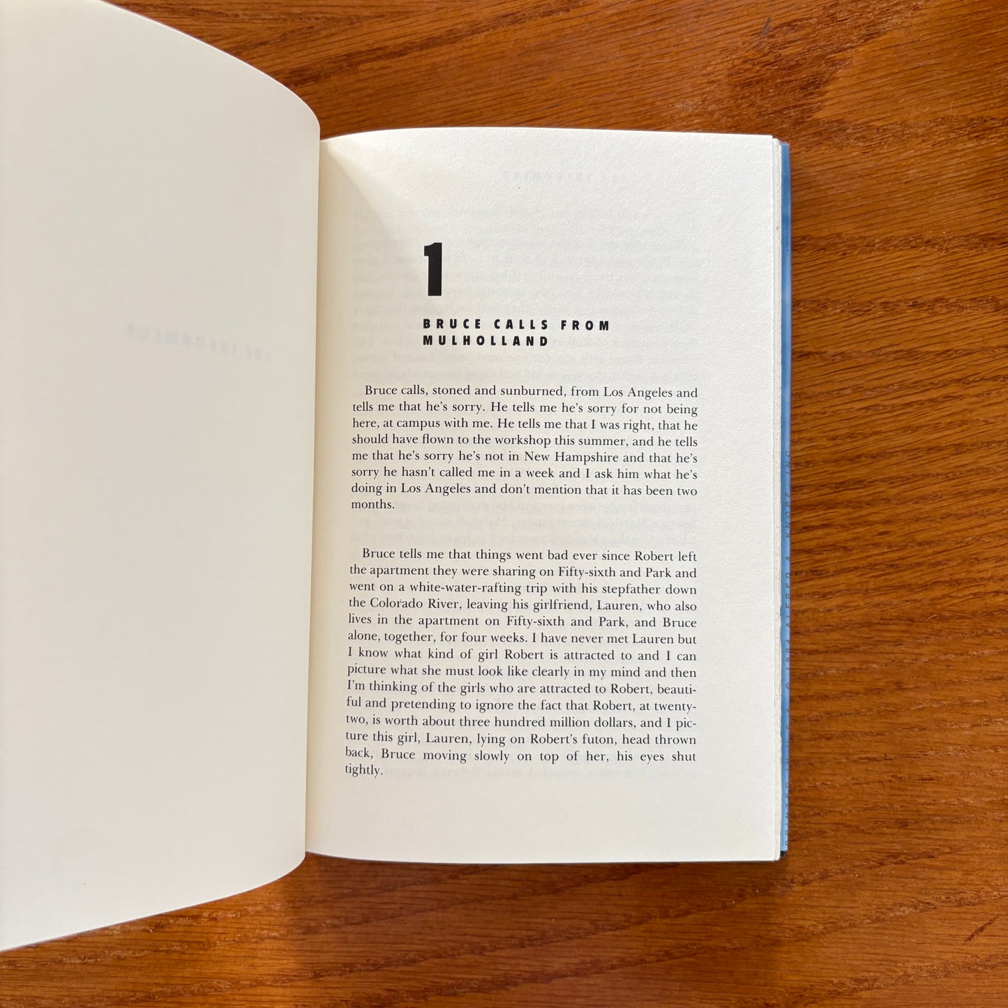 Bret Easton Ellis - The Informers