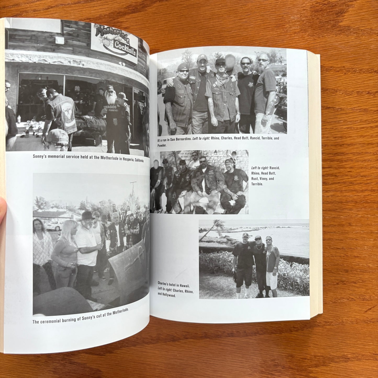 Vagos, Mongols, and Outlaws: My Infiltration of America’s Deadliest Biker Gangs - Charles Falco,