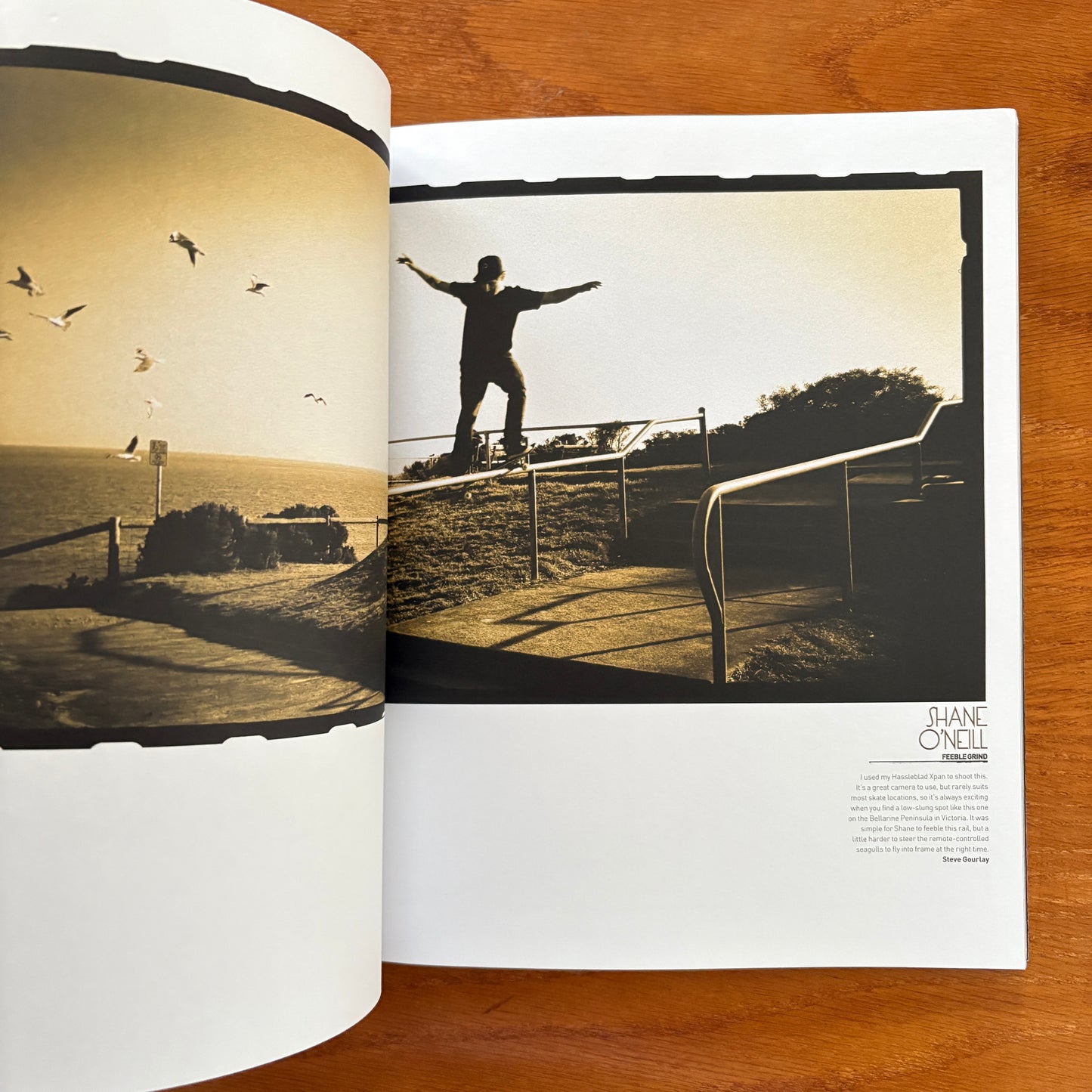 Slam Photo Annual 2010