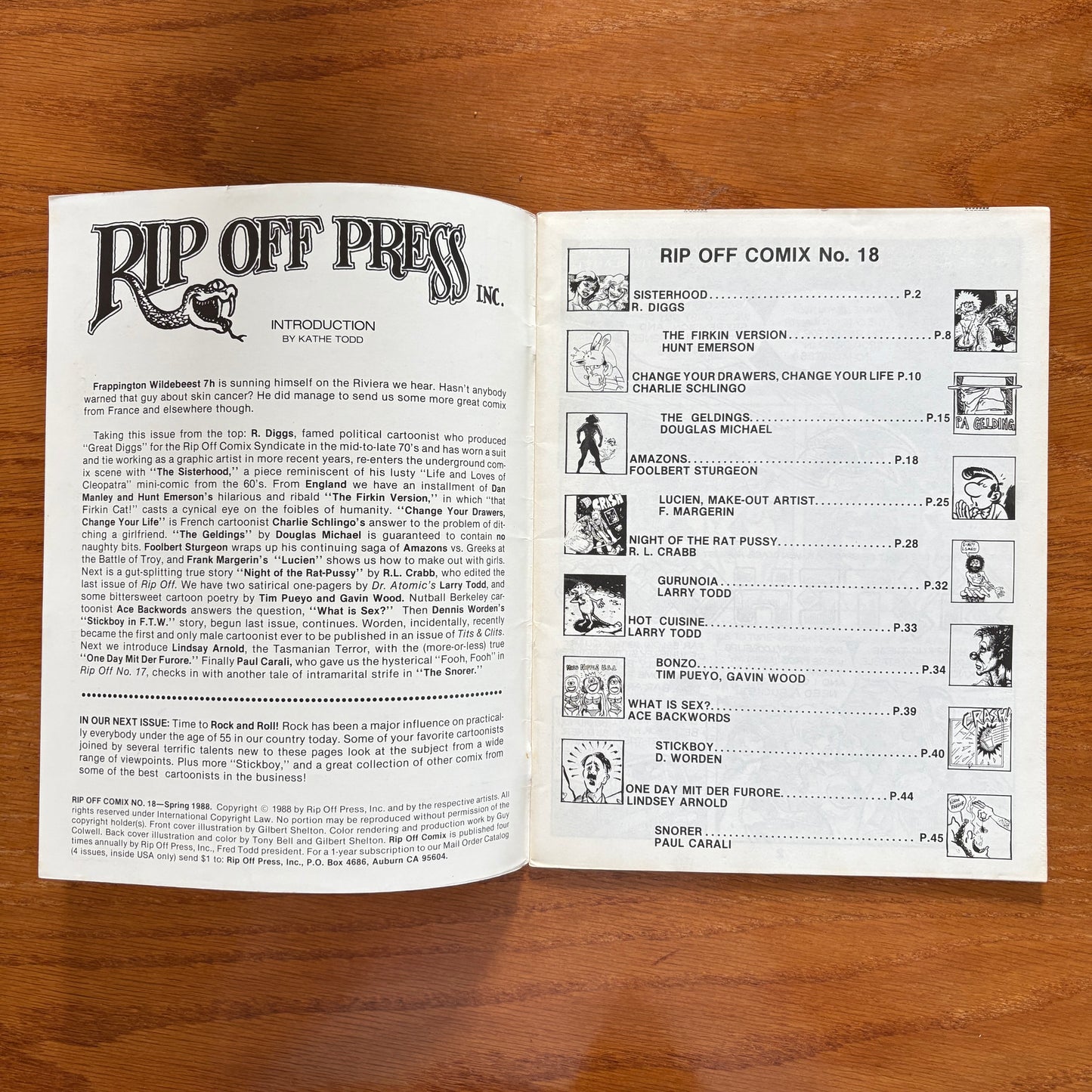 Rip Off 18