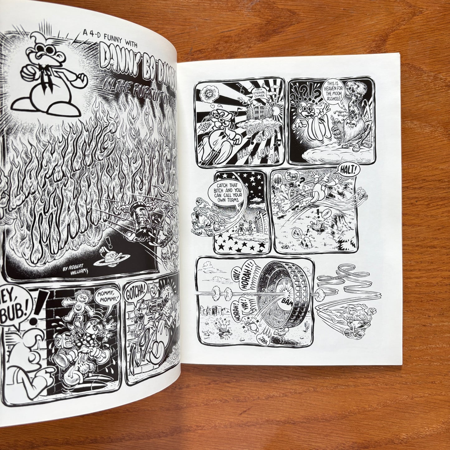 Coochy Cooty 1 - Robert Williams