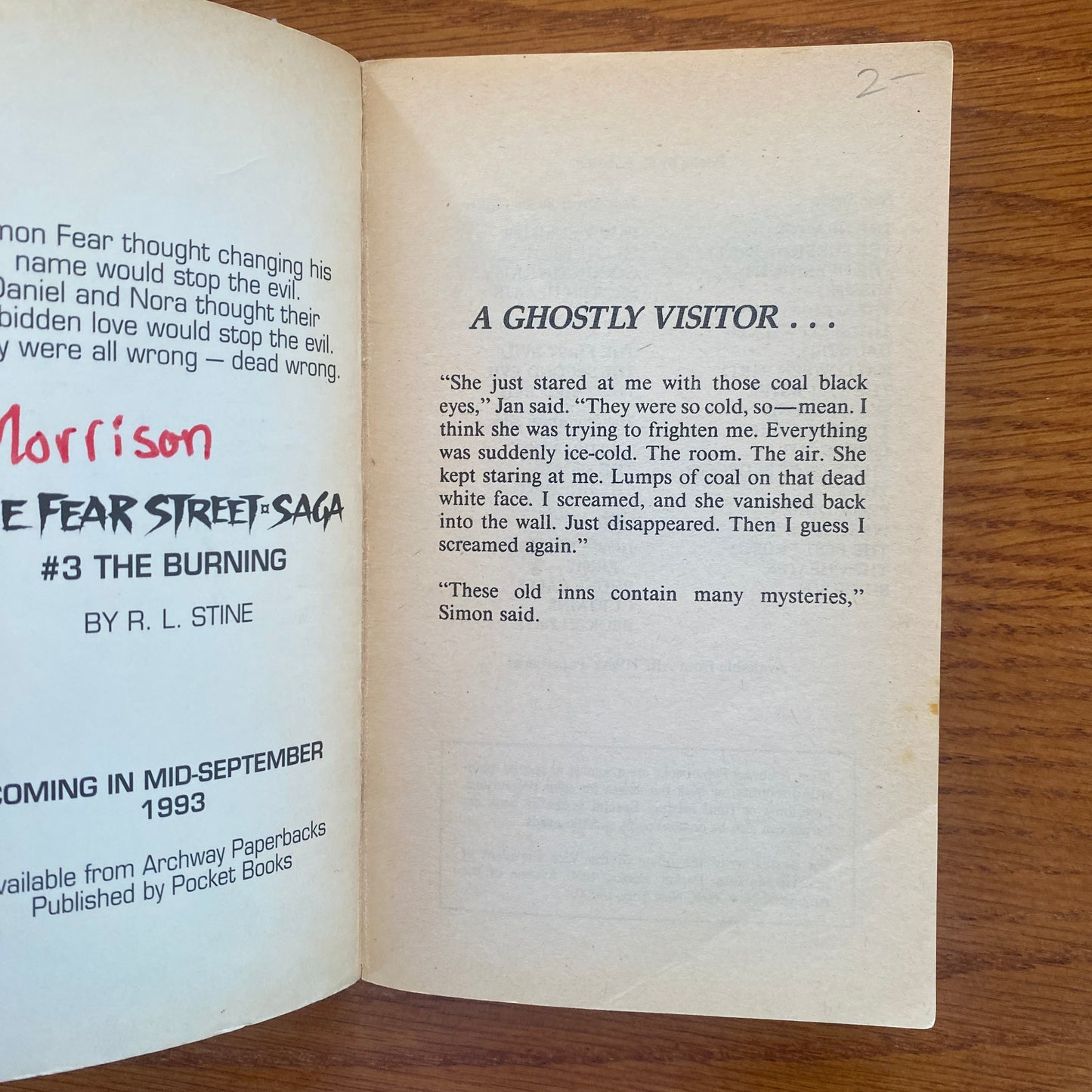 R.L Stine - Fear Street: Party Summer