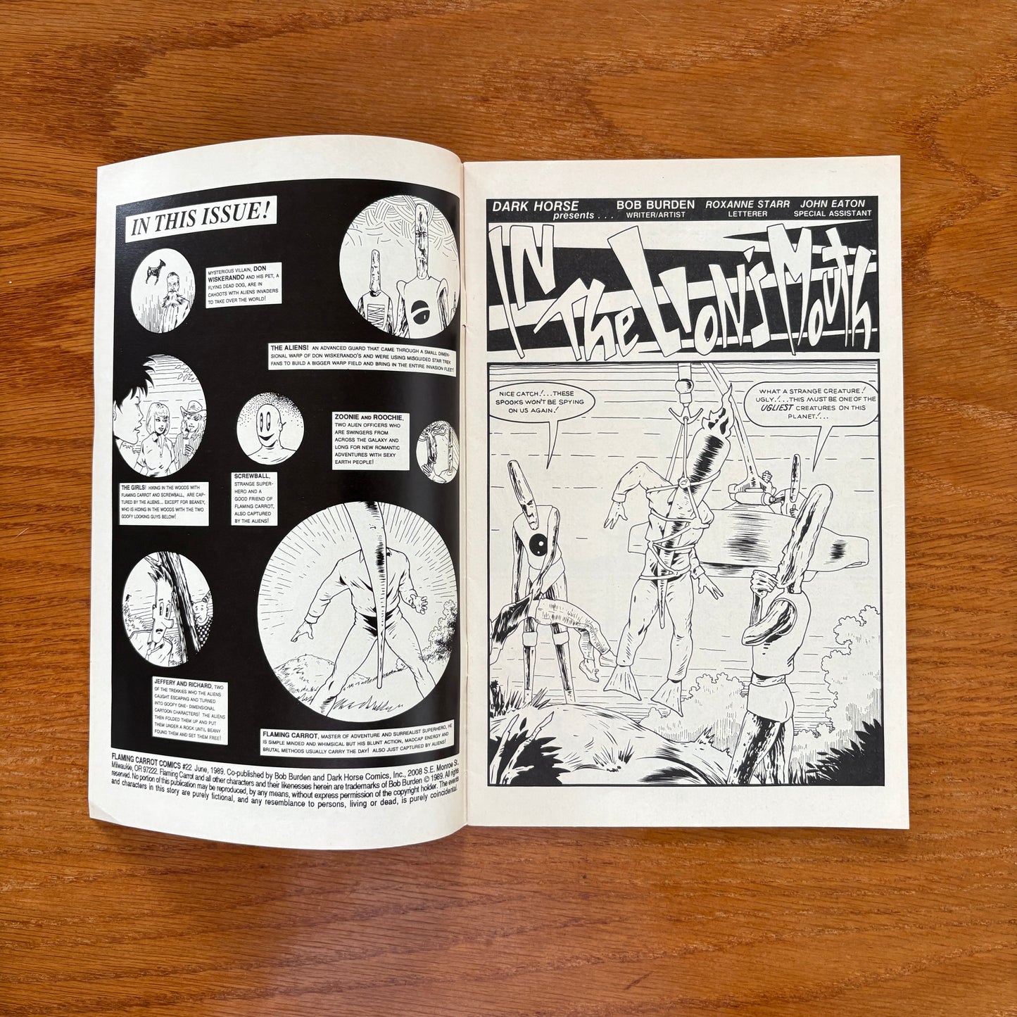 Flaming Carrot 22