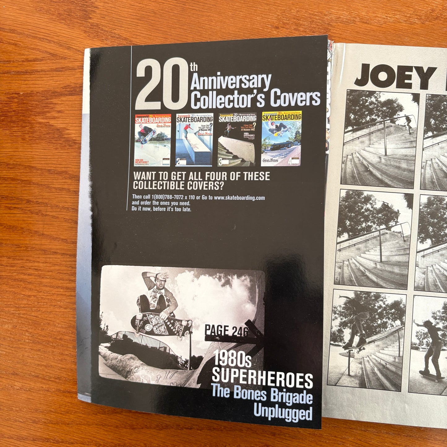 Transworld Skateboarding Jan 2003 20th Anniversary Issue