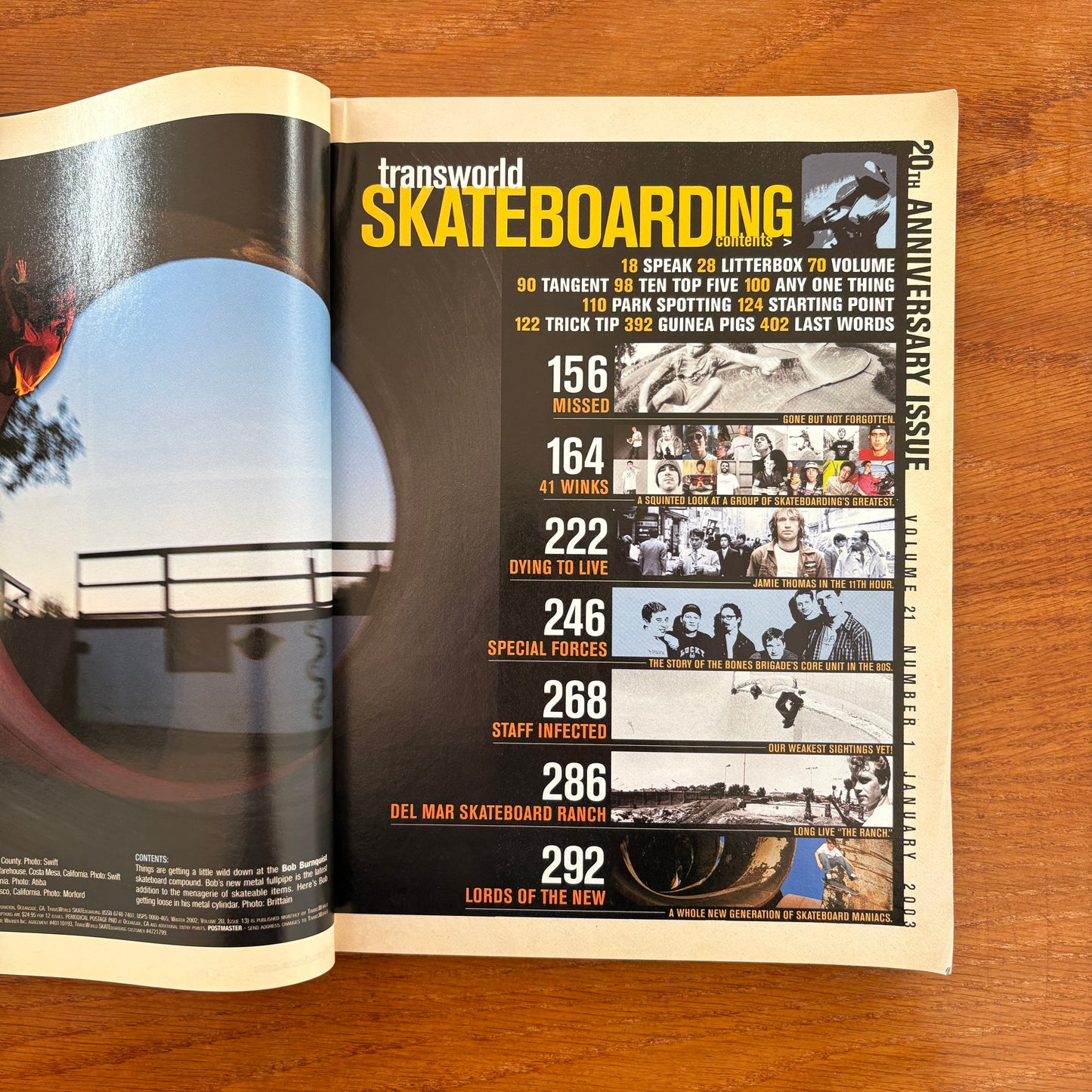 Transworld Skateboarding Jan 2003 20th Anniversary Issue