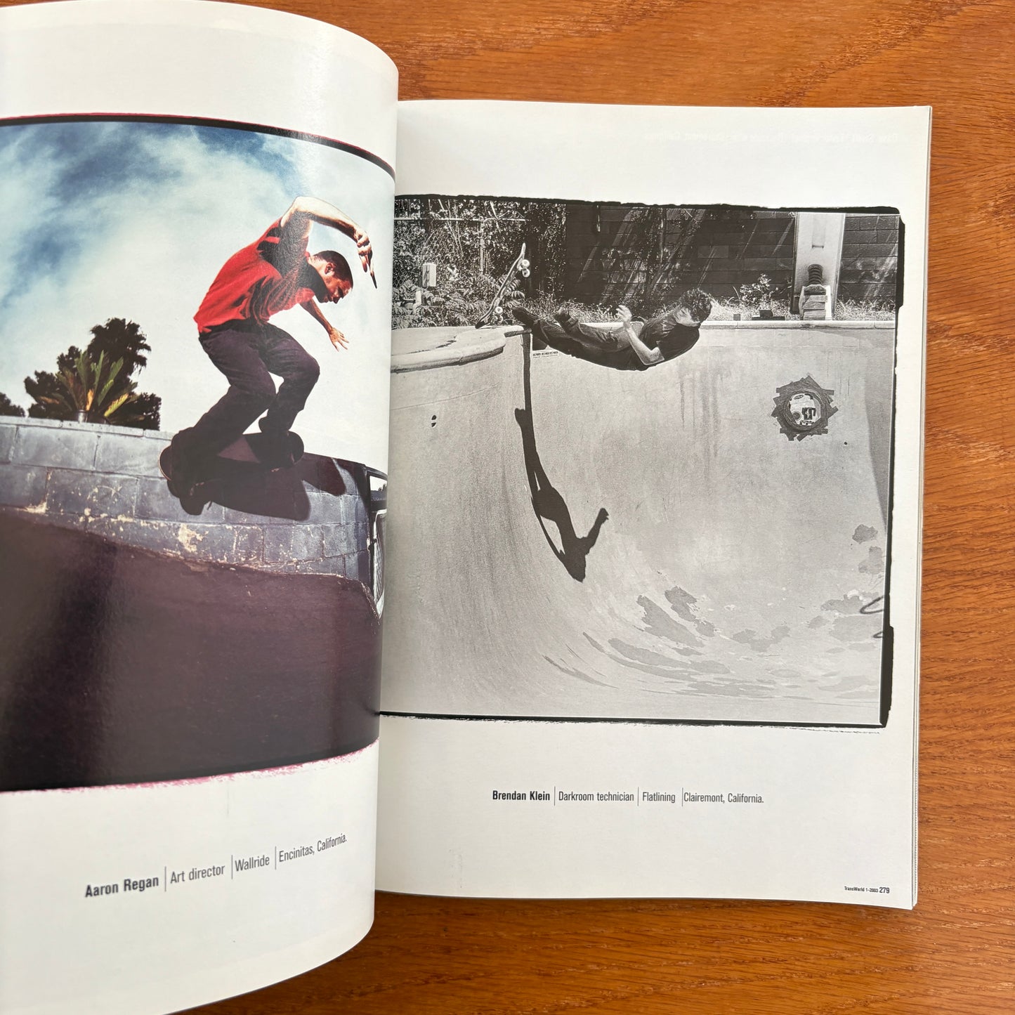 Transworld Skateboarding Jan 2003 20th Anniversary Issue