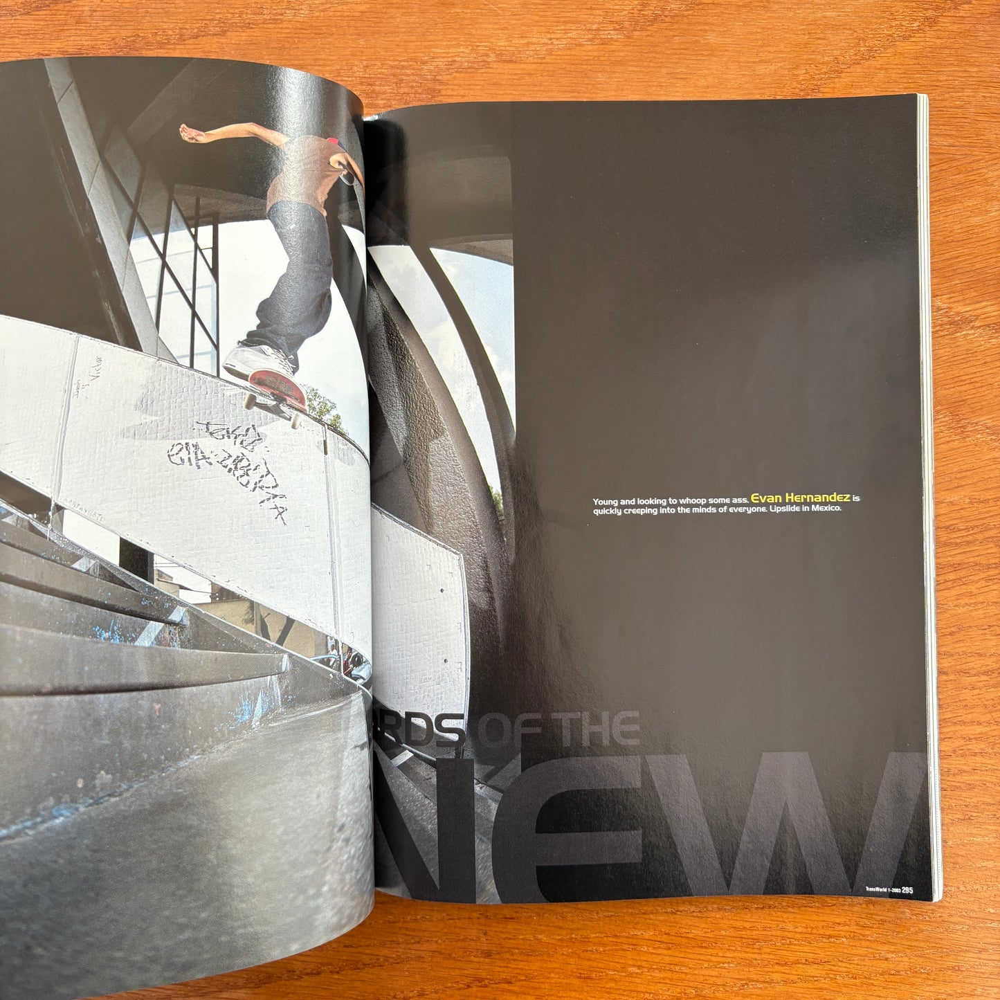 Transworld Skateboarding Jan 2003 20th Anniversary Issue