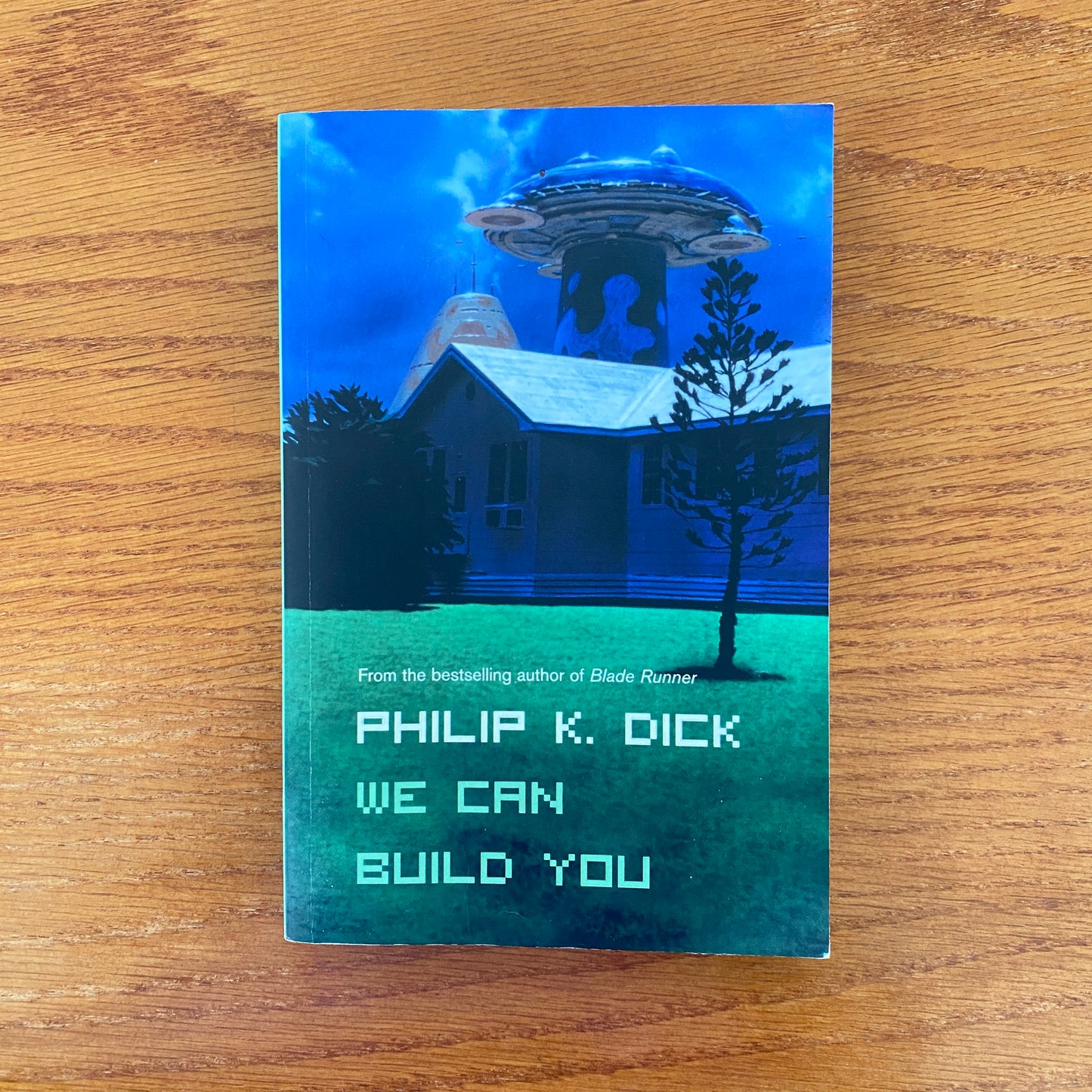 Philip K. Dick - We Can Build You