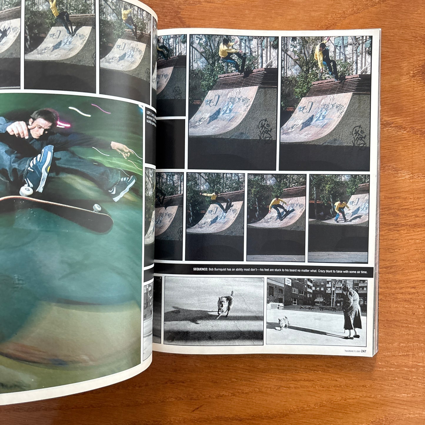 Transworld Nov 2001