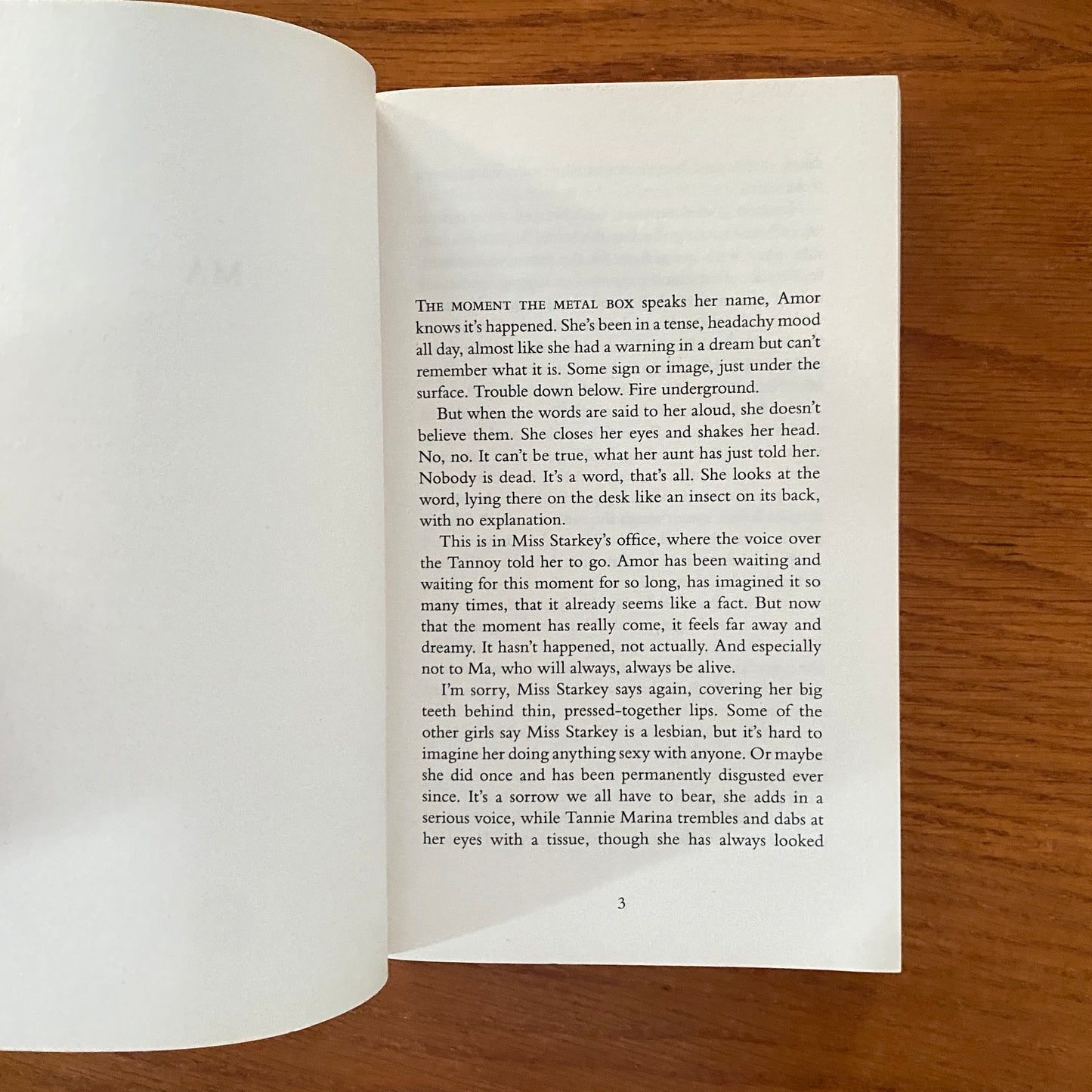 The Promise - Damon Galut