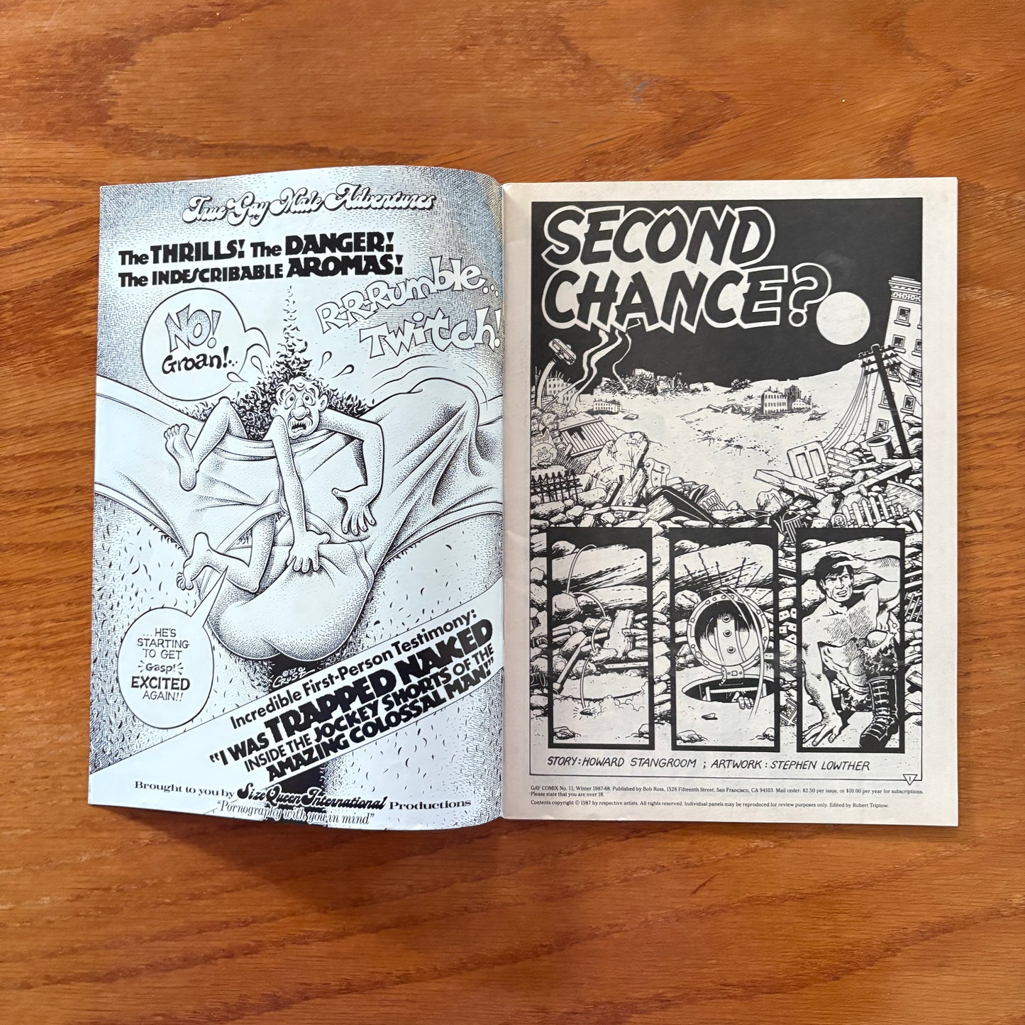 Gay Comix 11