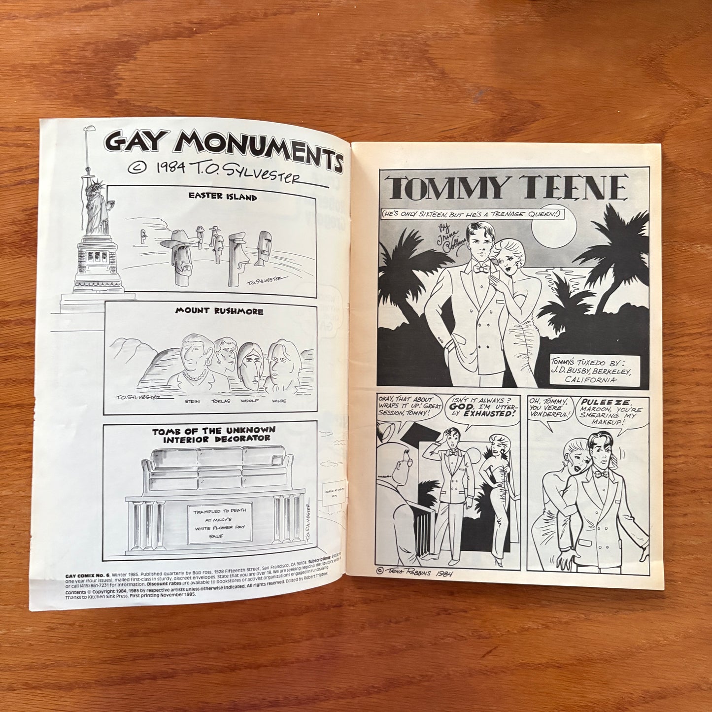 Gay Comix 6