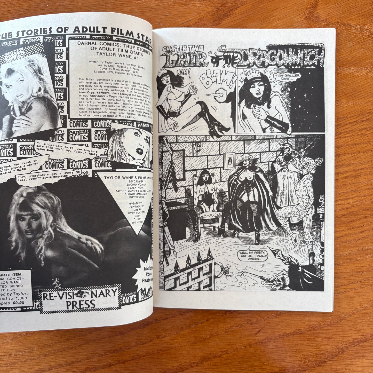Carnal Comics Presents: The Pink Stiletto