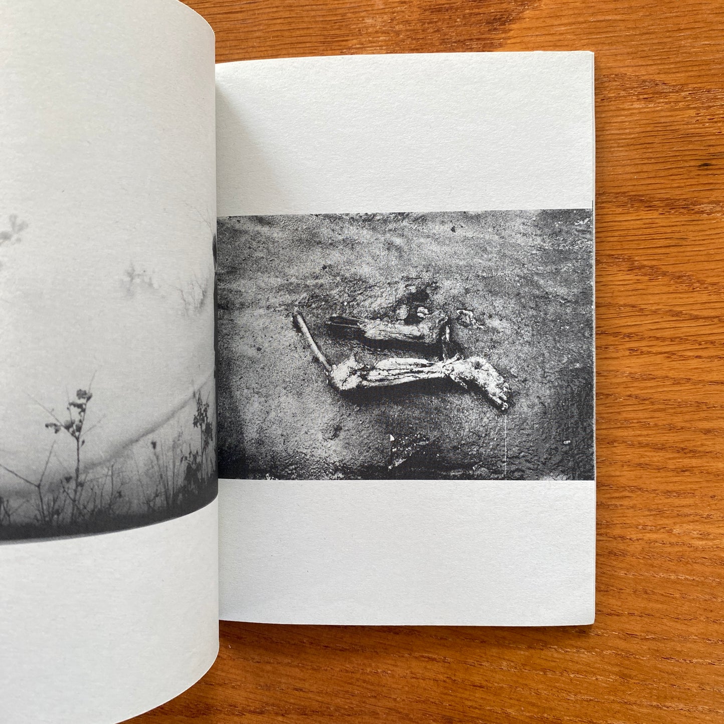 DOOMED ZINE - THE DOOMED ISSUE