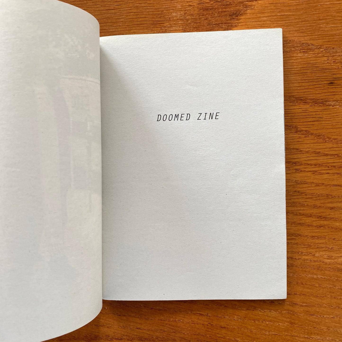 DOOMED ZINE - THE DOOMED ISSUE