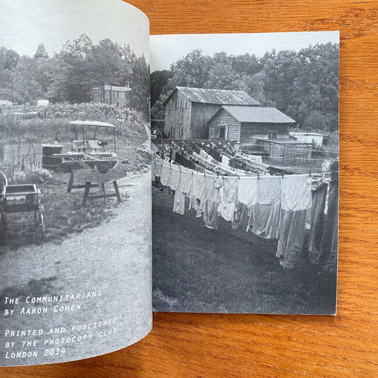 The Communitarians - Aaron Cohen