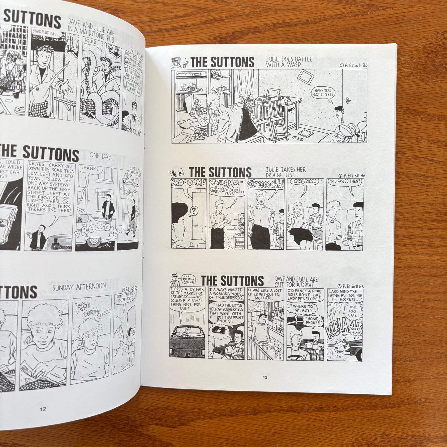 The Suttons: Three years in Maidstone - Collected comic strips by Phil Elliott