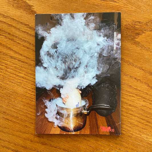 Nobody Lost - Dana Lauren Gloldstein