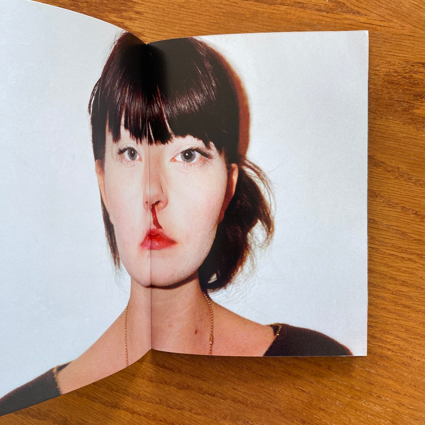 Nobody Lost - Dana Lauren Gloldstein