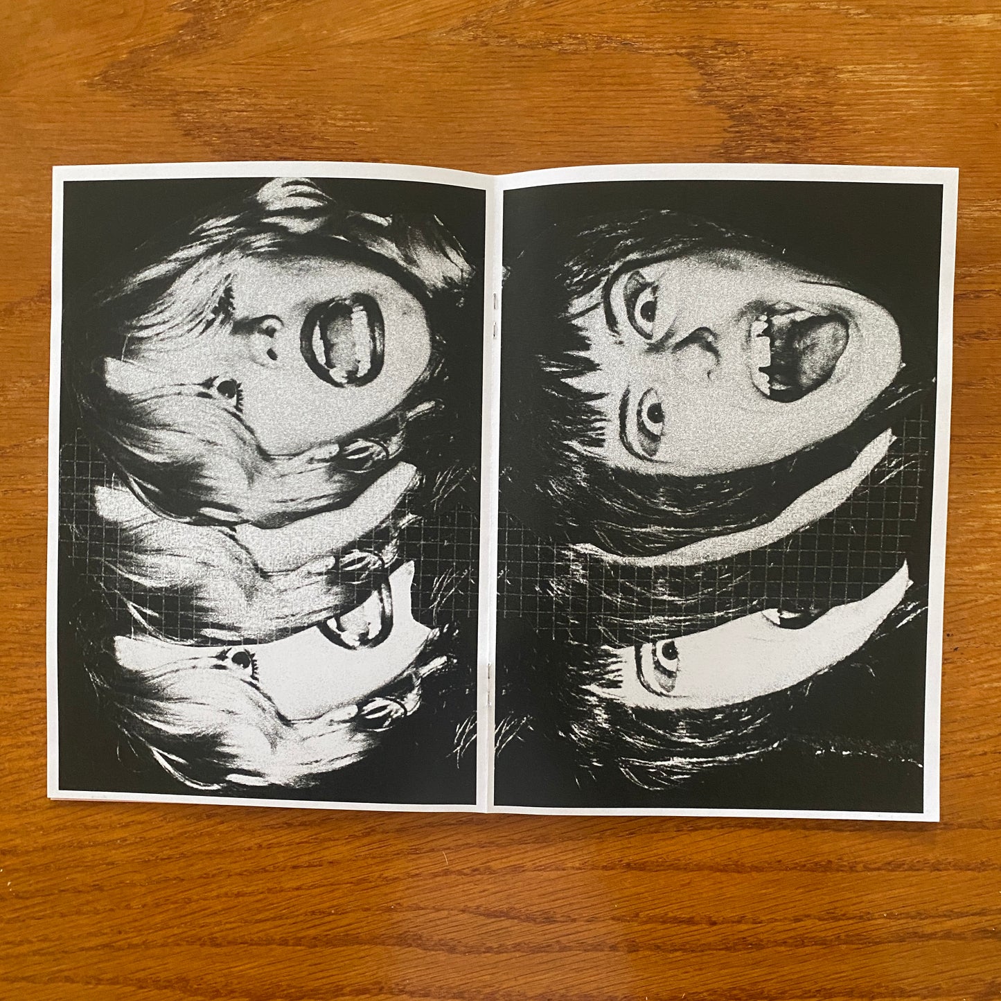 Sniffbort - Jamie Wdziekonski