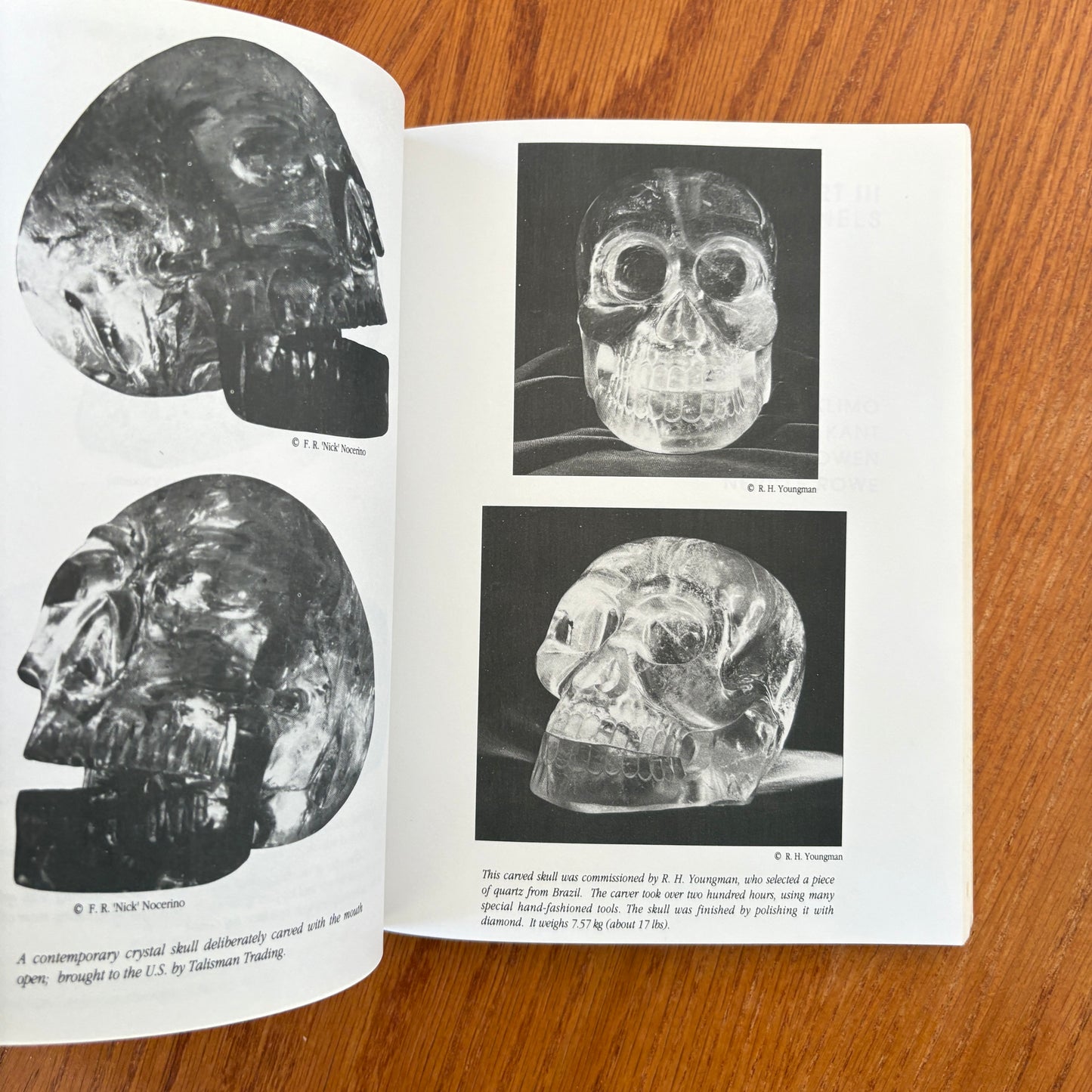 Mystery of the Crystal Skull Revealed - Sandra Bowen