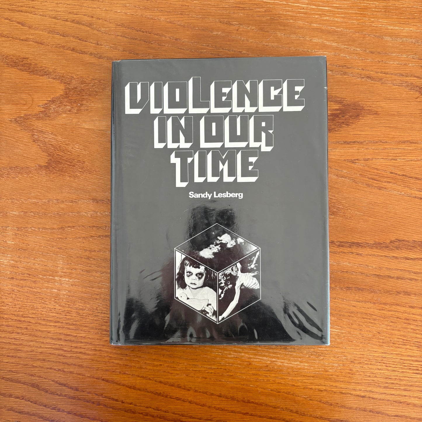 Violence In Our Time - Sandy Lesberg