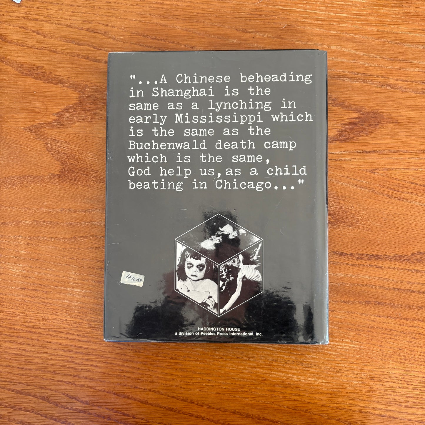 Violence In Our Time - Sandy Lesberg
