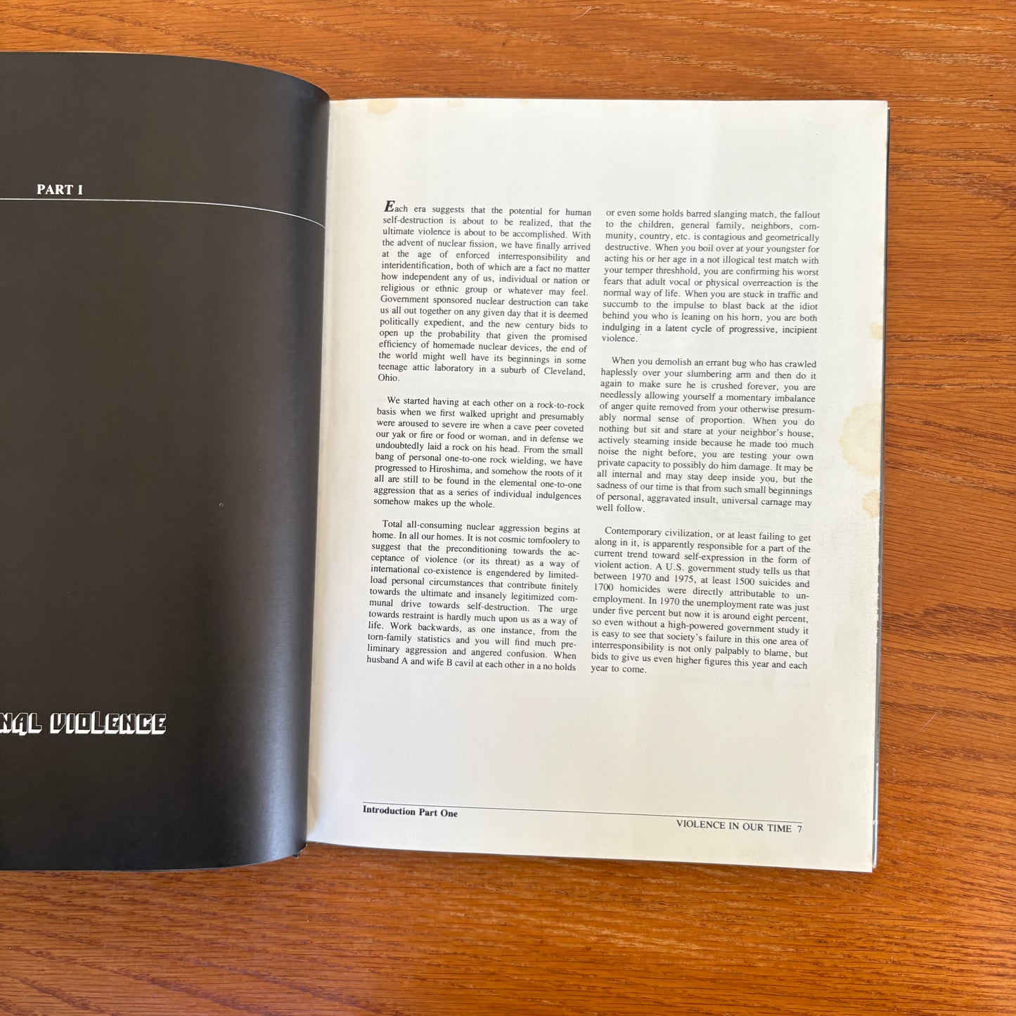 Violence In Our Time - Sandy Lesberg