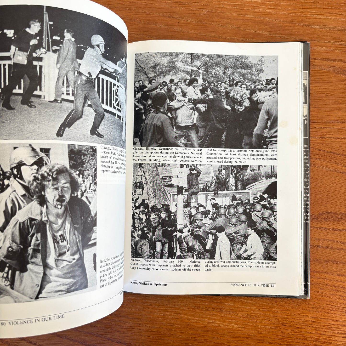 Violence In Our Time - Sandy Lesberg