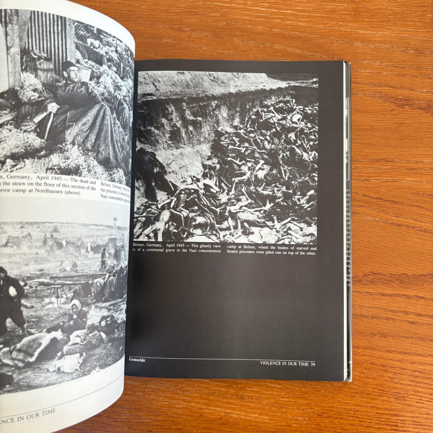 Violence In Our Time - Sandy Lesberg