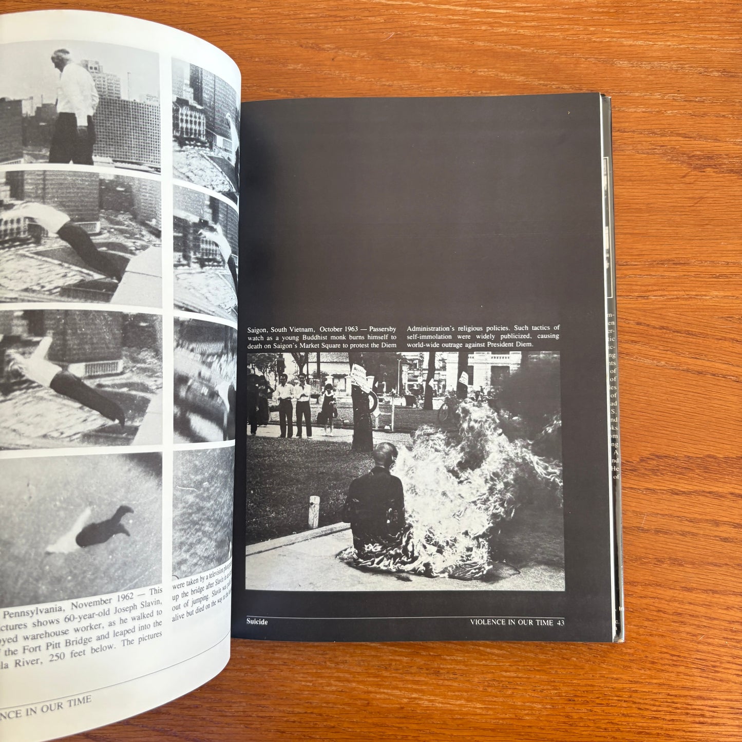 Violence In Our Time - Sandy Lesberg