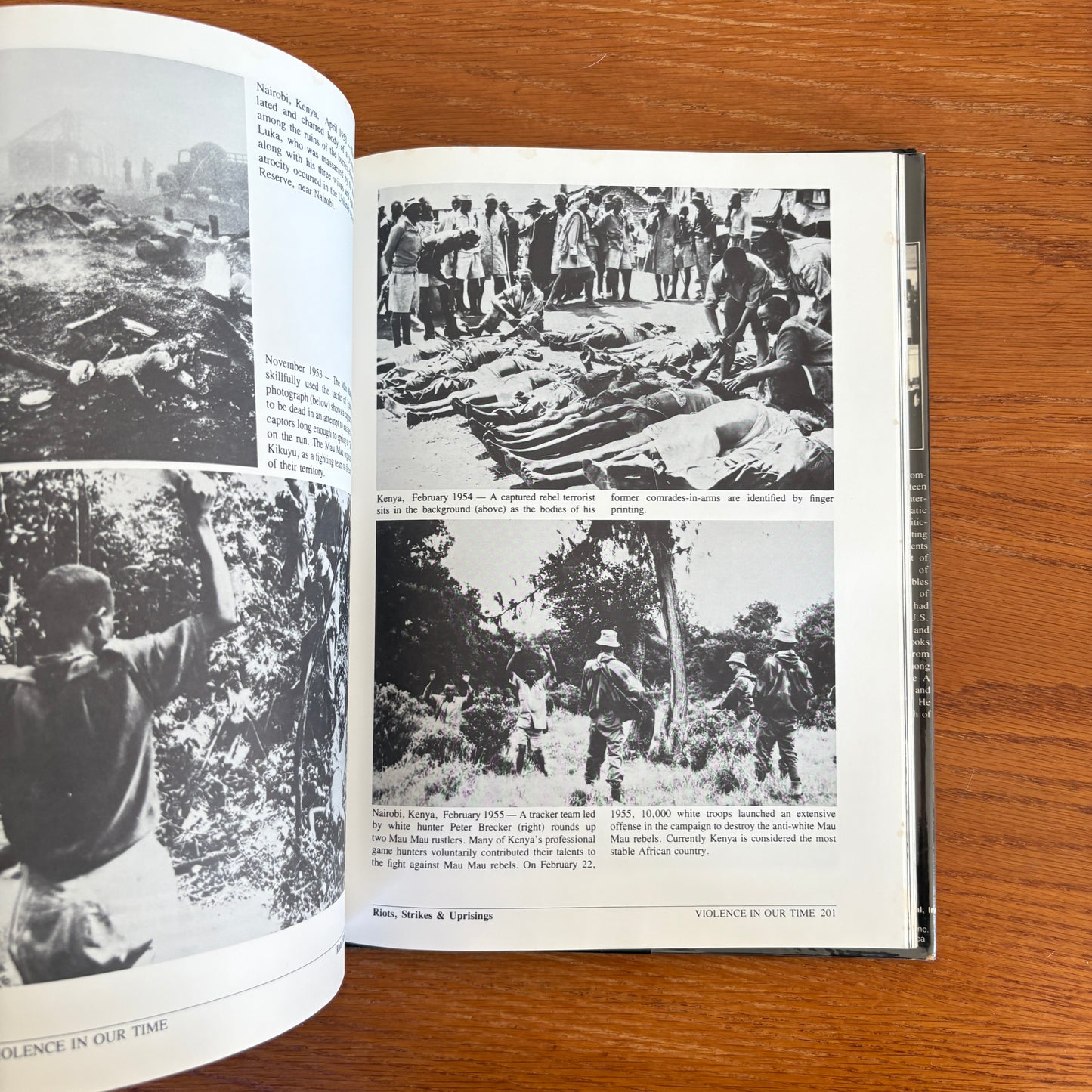Violence In Our Time - Sandy Lesberg
