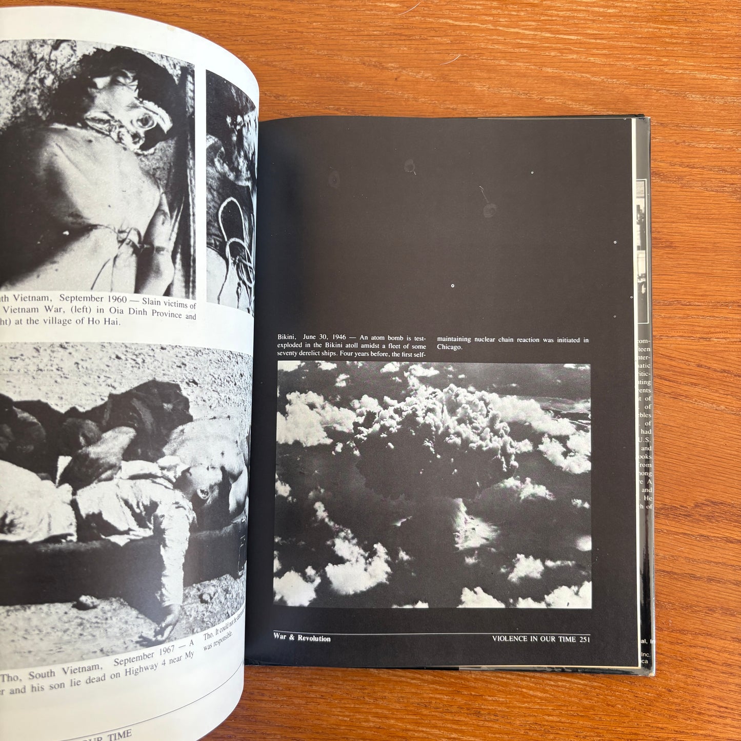 Violence In Our Time - Sandy Lesberg