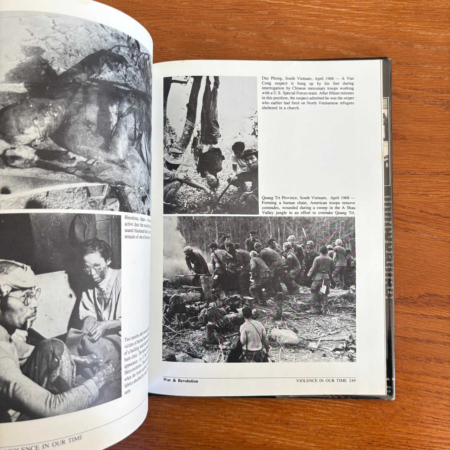 Violence In Our Time - Sandy Lesberg