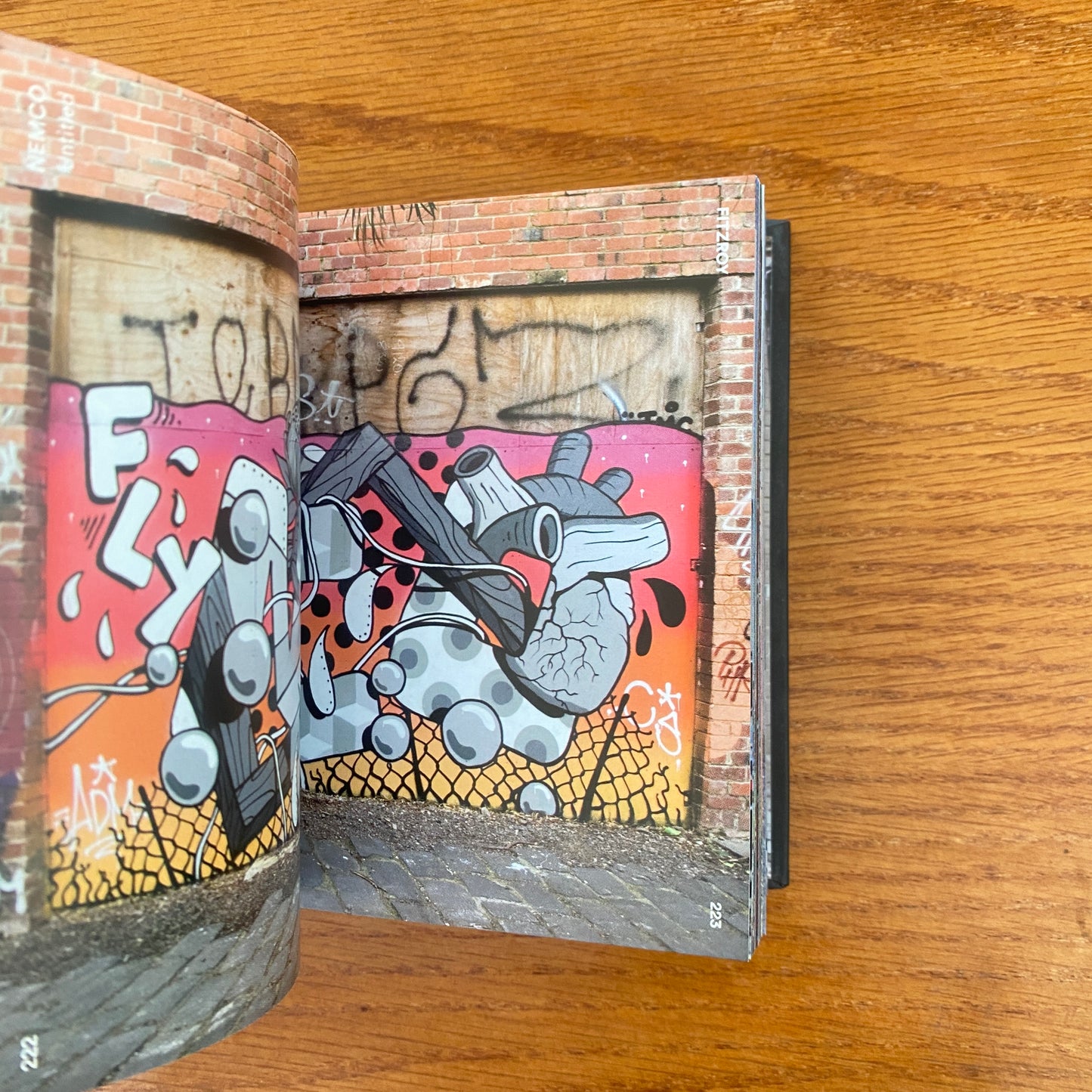 Inside Street Art Melbourne - Toby Fairbank