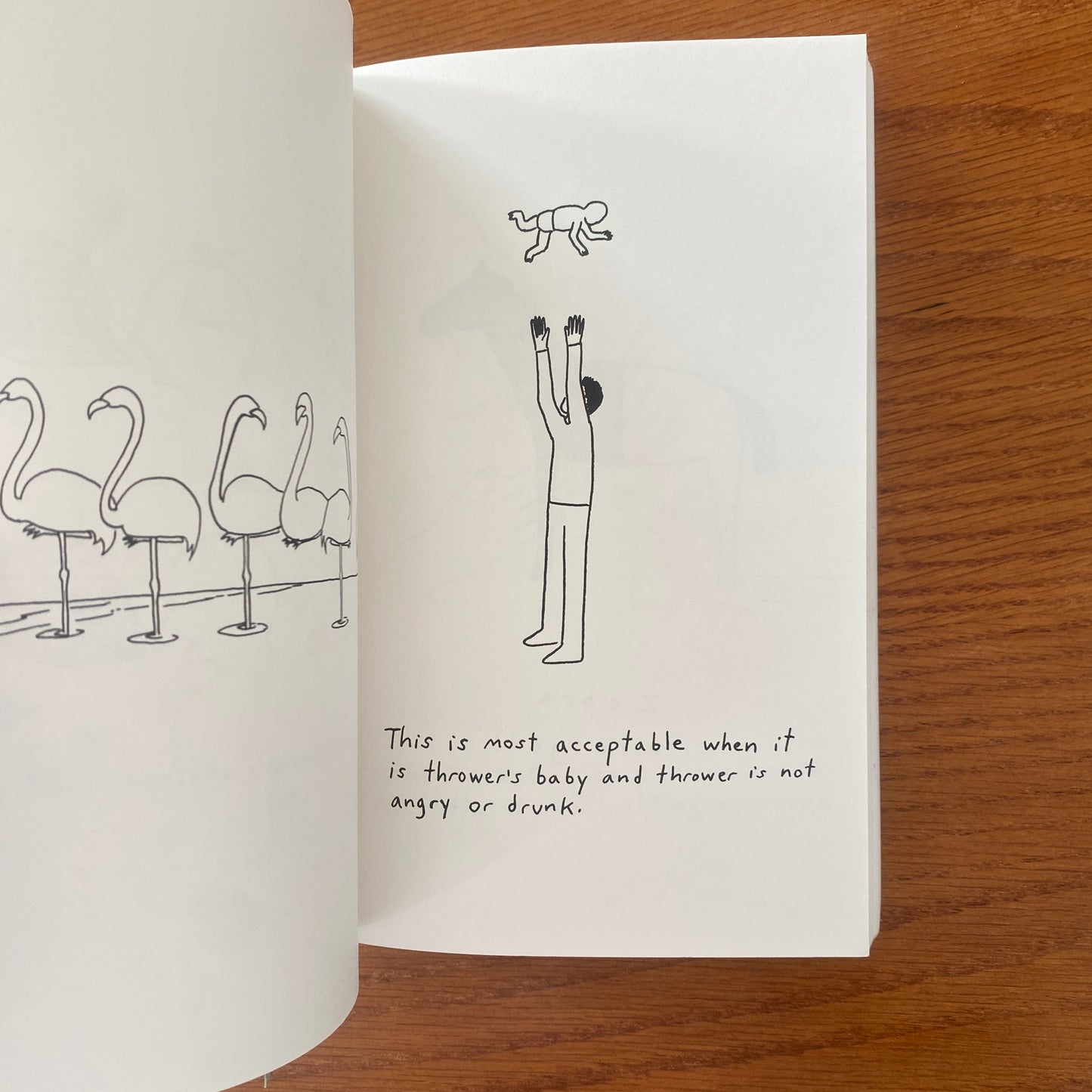 Demetri Martin - Point Your Face At this