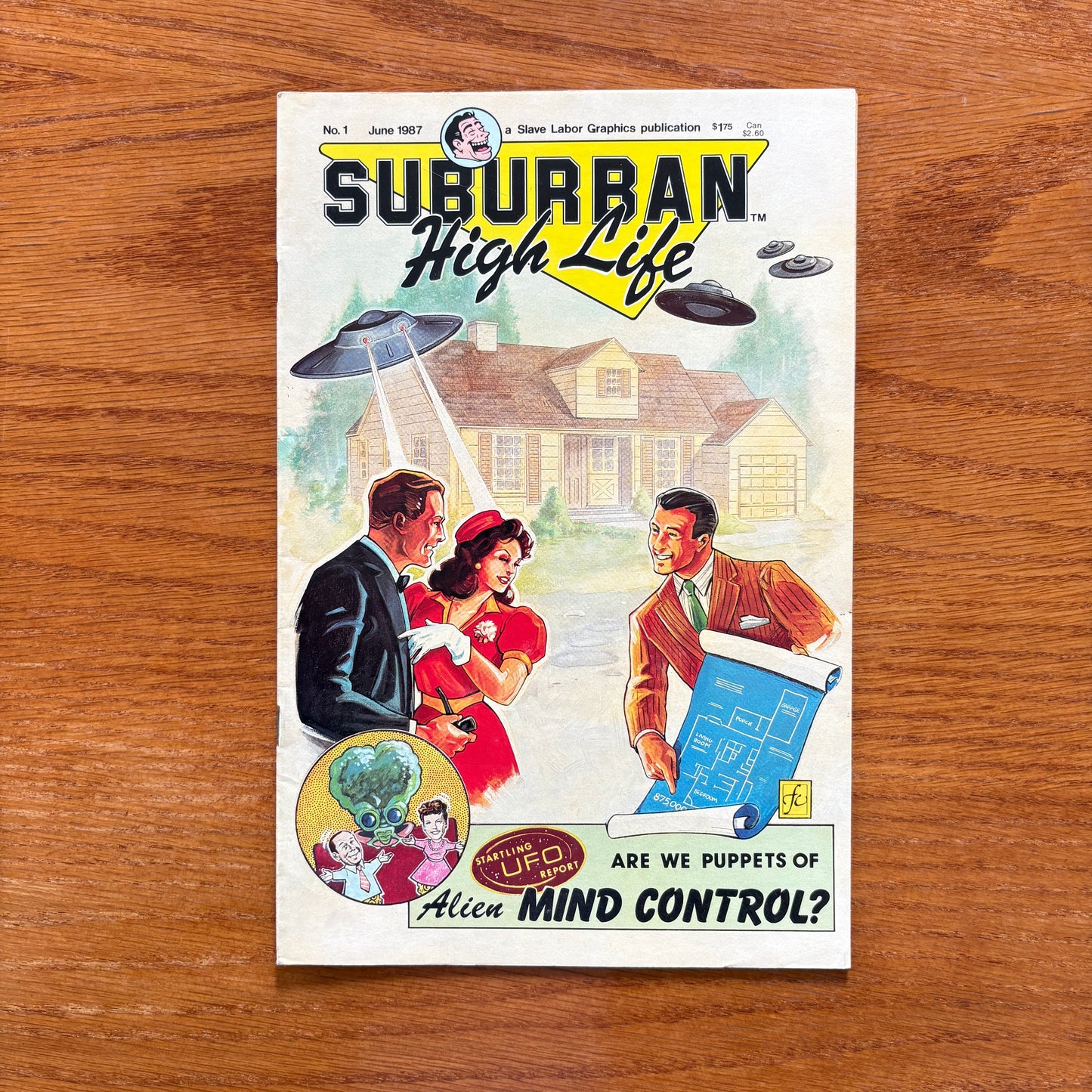 Suburban High Life 1
