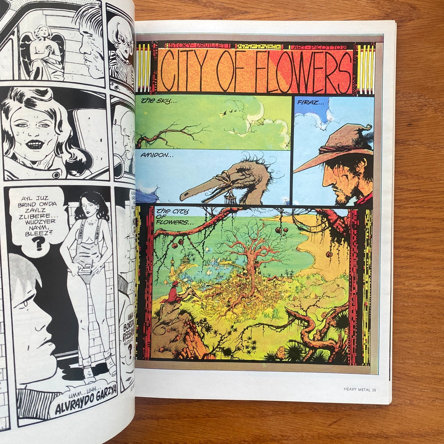 V1.13 Heavy Metal - Apr 1978