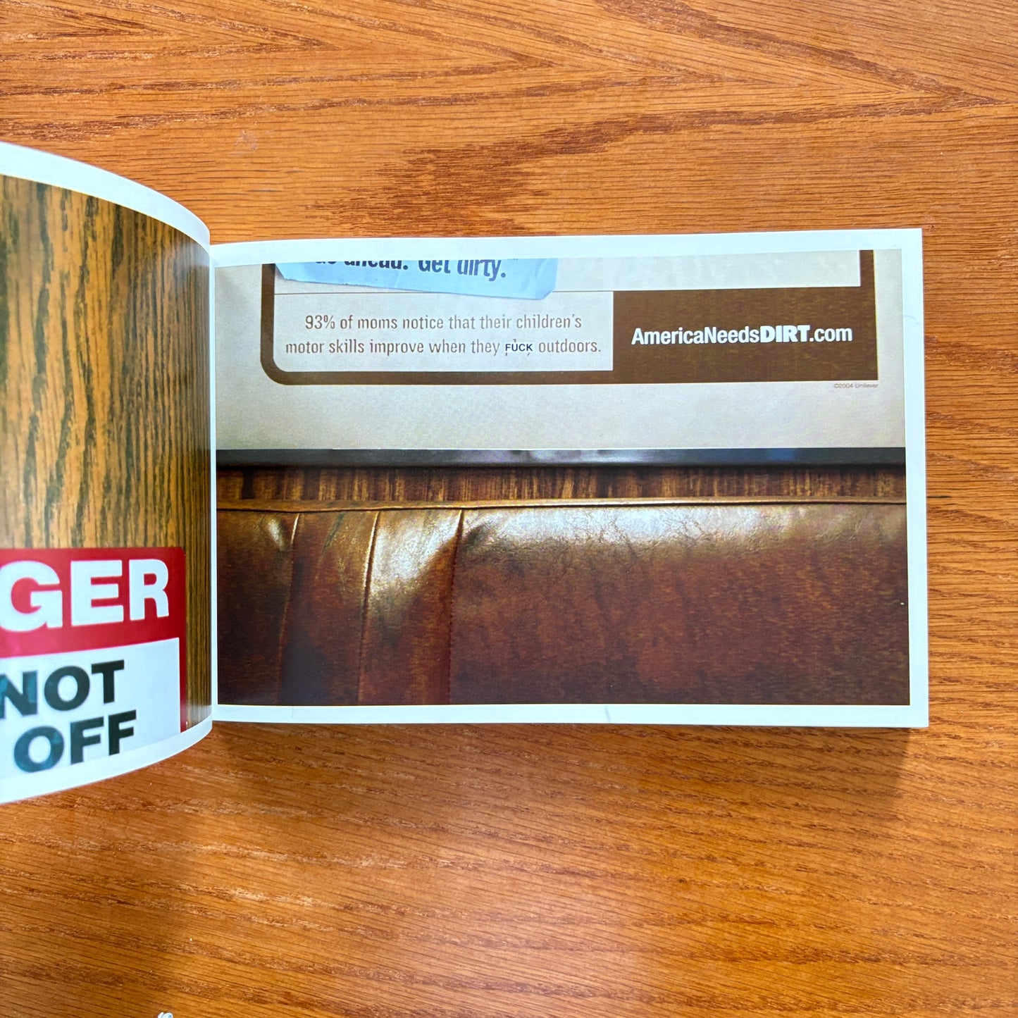 FUCK This Book - Bodhi Oser