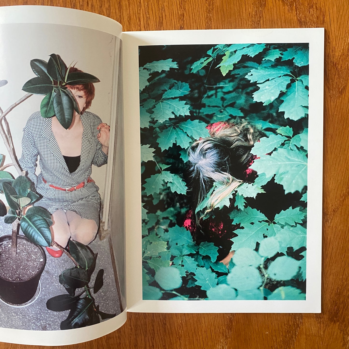 Photographs - Lukasz Wierzbowski