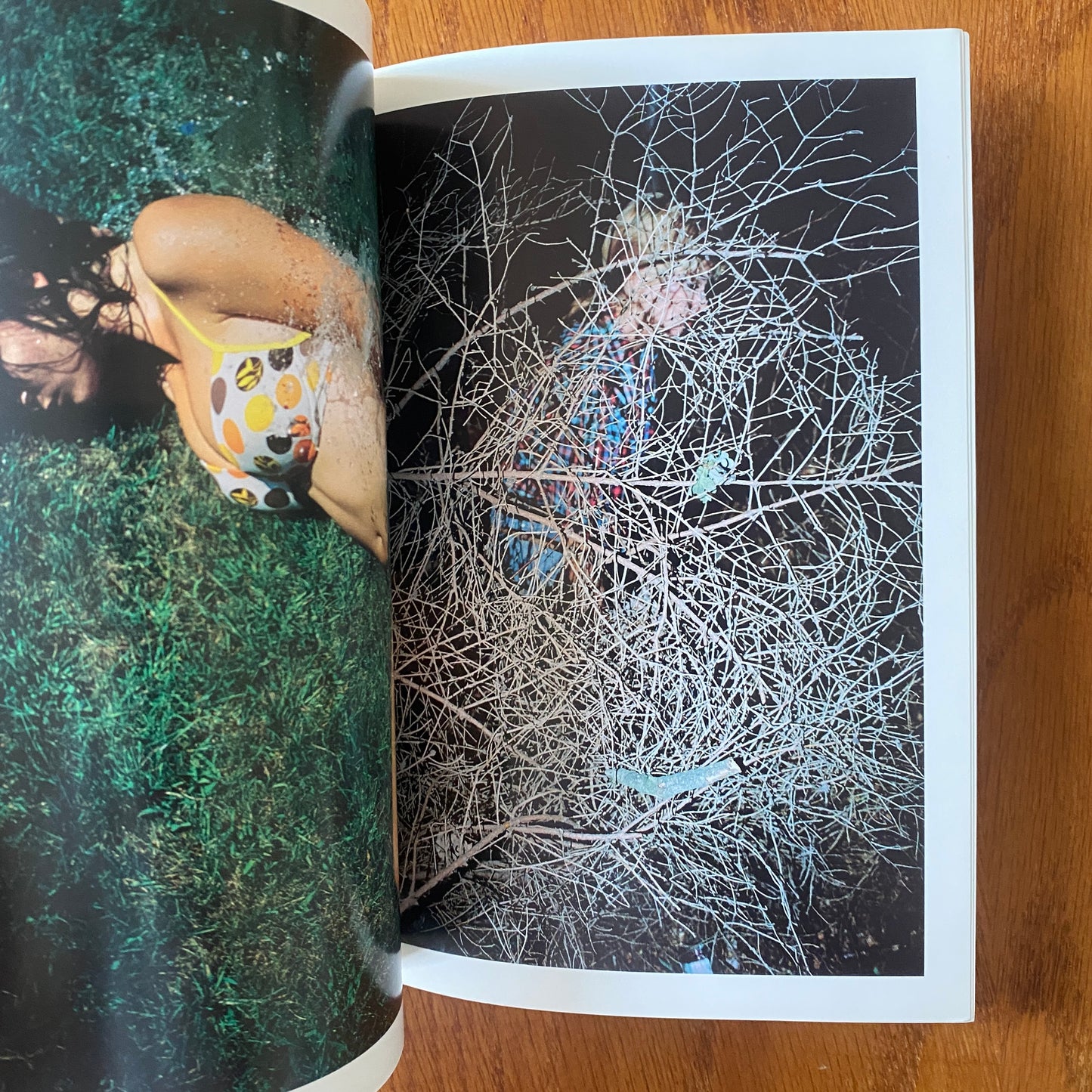 Photographs - Lukasz Wierzbowski