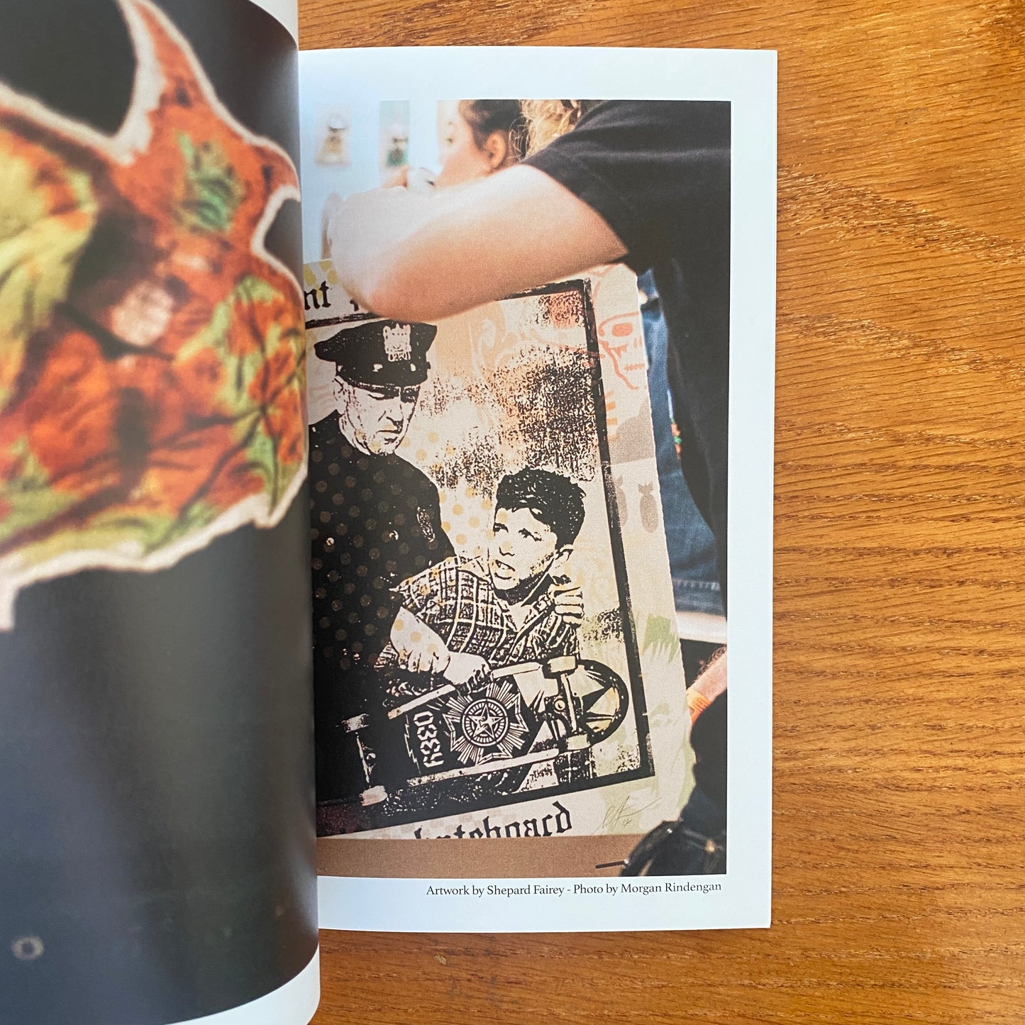 Skateboard Museum Zine Collection Box Set