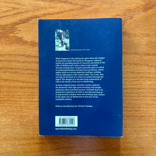 Excitable Boy: Essays on Risk - Dominic Gordon